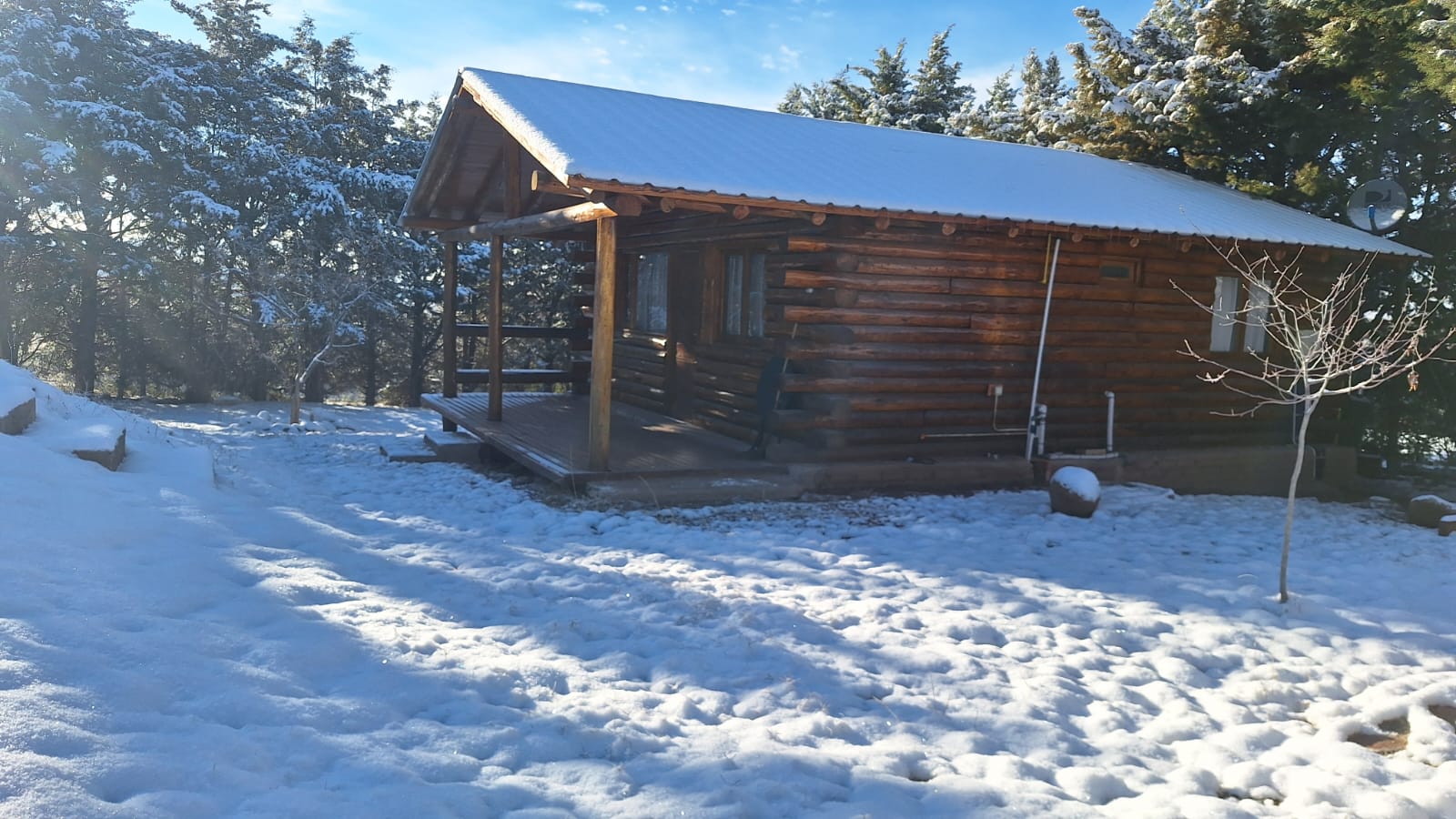 Cabaña con nieve