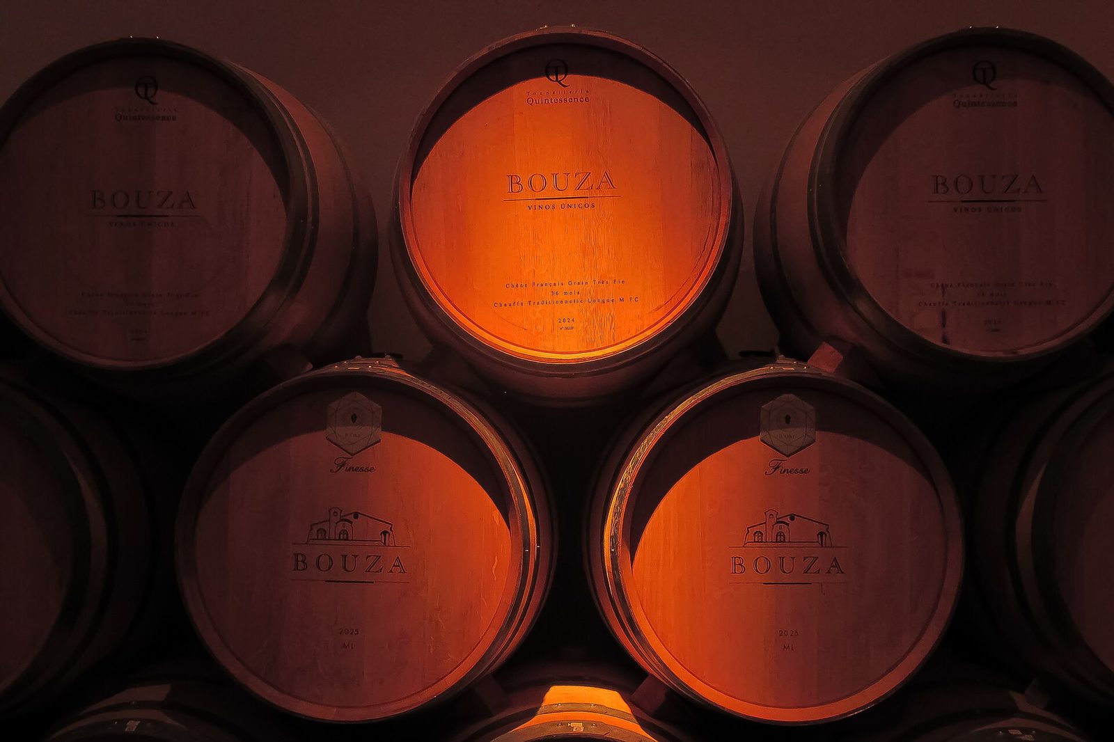 Bodega de Mendoza